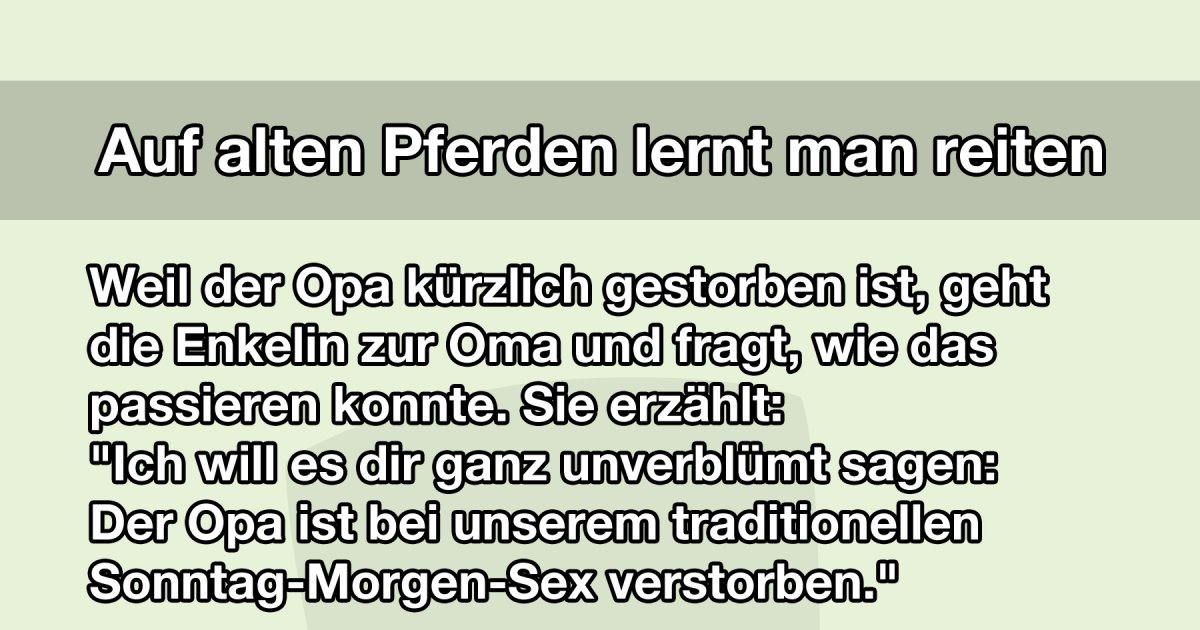 Auf Alten Pferden Lernt Man Reiten