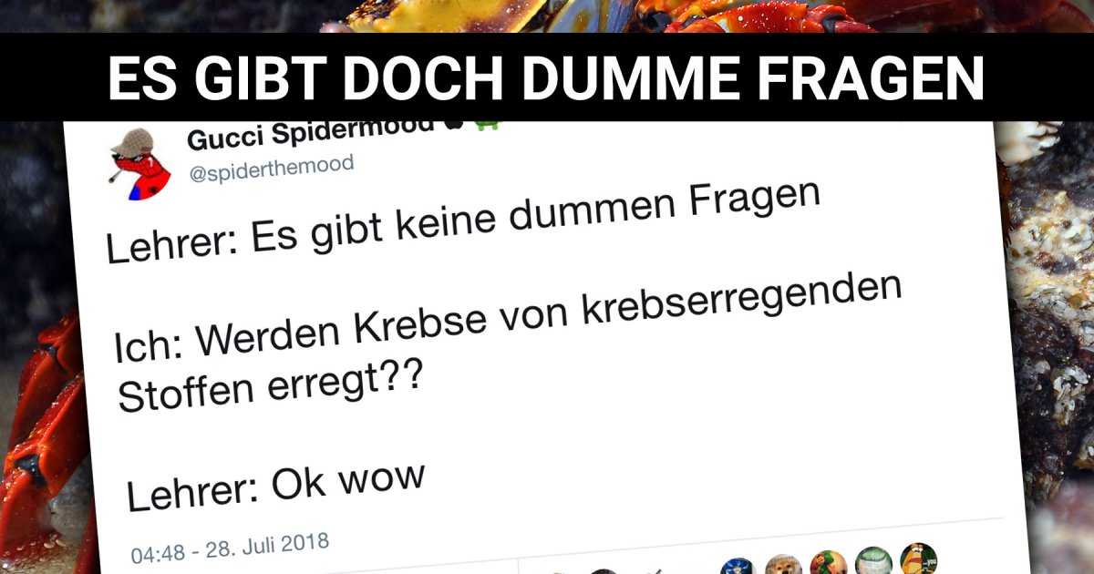 Beweise Dass Es Eben Doch Dumme Fragen Gibt Webfail Fail Bilder