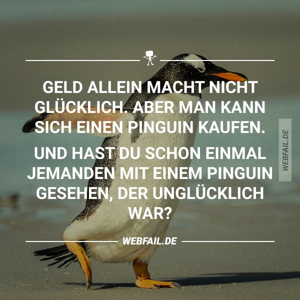 Geld allein macht nicht glücklich Webfail Fail Bilder und Fail Videos