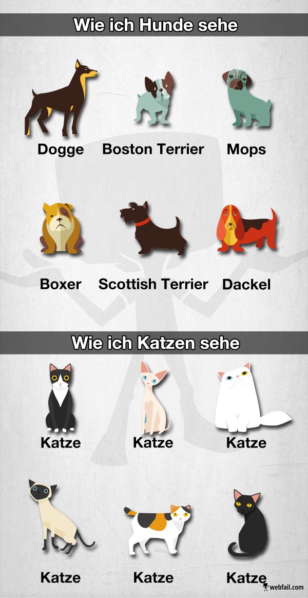 Der Unterschied zwischen Hunden und Katzen Fun Bild Webfail Fail