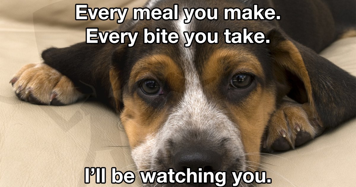 I'll be watching you - Meme Picture | Webfail - Fail Pictures and Fail