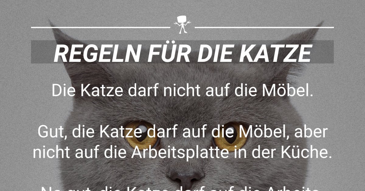 Regeln für Katze Webfail Fail Bilder und Fail Videos