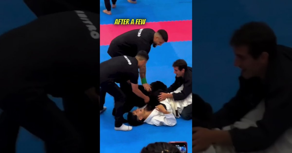 Hund Hilft Seinem Herrchen W Hrend Eines Jiu Jitsu Matches Webfail