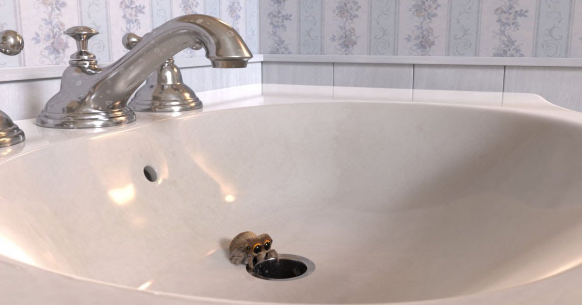Die süßeste Spinne "Lucas" hat Spaß im Waschbecken | Webfail - Fail