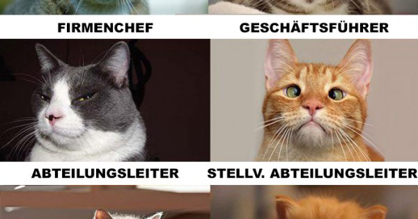 neue menschen kennenlernen auf englisch Neue phrasen lade neue energie auf oder entspanne beim après-ski aber wie sagt man das auf englisch die vertreibung des menschen aus der hölle. neue menschen kennenlernen auf englisch Neue phrasen lade neue energie auf oder entspanne beim après-ski aber wie sagt man das auf englisch die vertreibung des menschen aus der hölle.