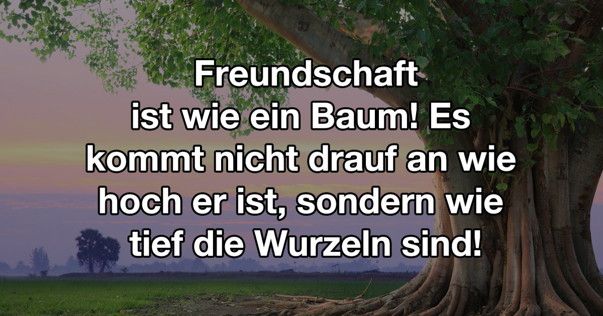 Freundschaft ist wie ein Baum Fun Bild Webfail Fail Bilder und