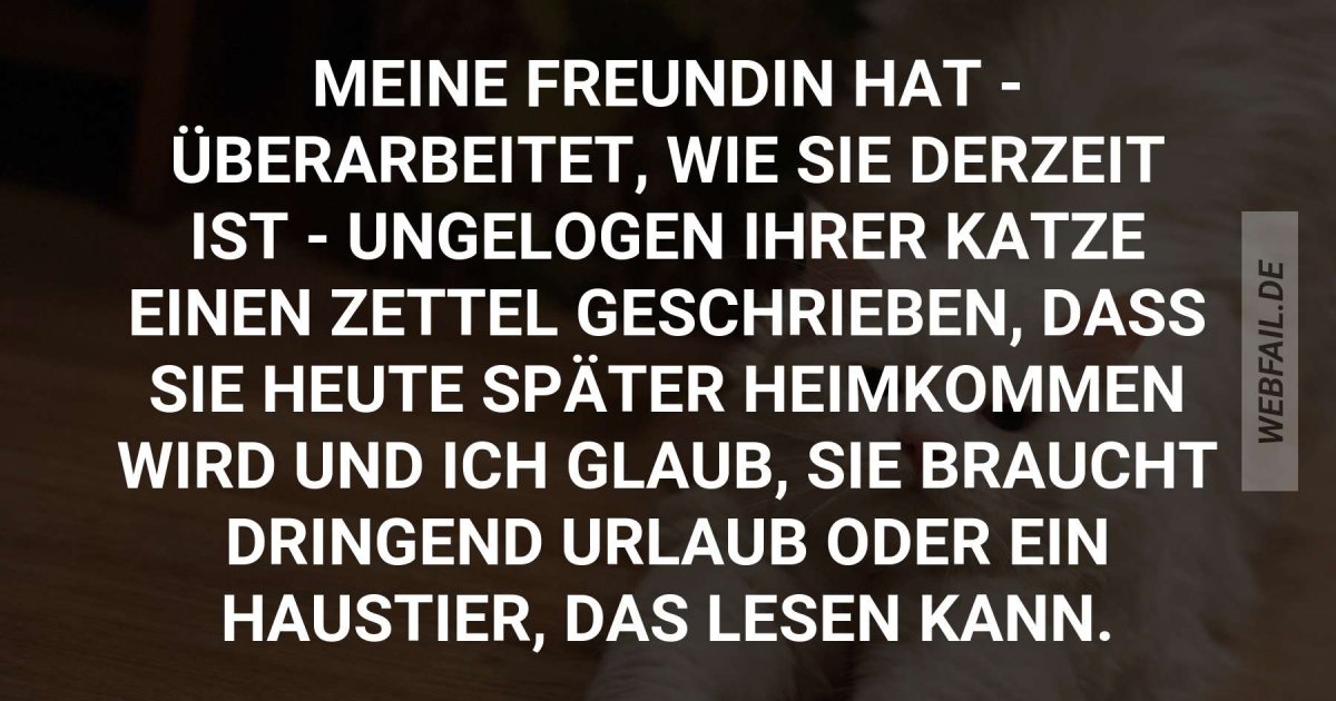 Die hat wirklich viel um die Ohren Webfail Fail Bilder und Fail Videos