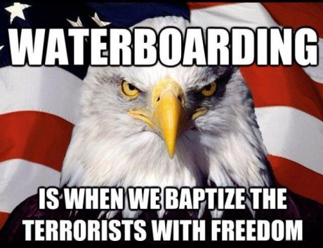 american eagle meme waterboard
