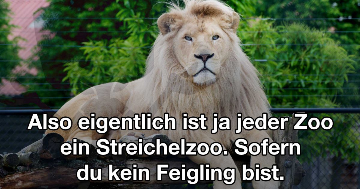 Kleiner Feigling Fun Bild Webfail Fail Bilder und Fail Videos