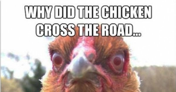 why-did-the-chicken-cross-the-road-meme-picture-webfail-fail