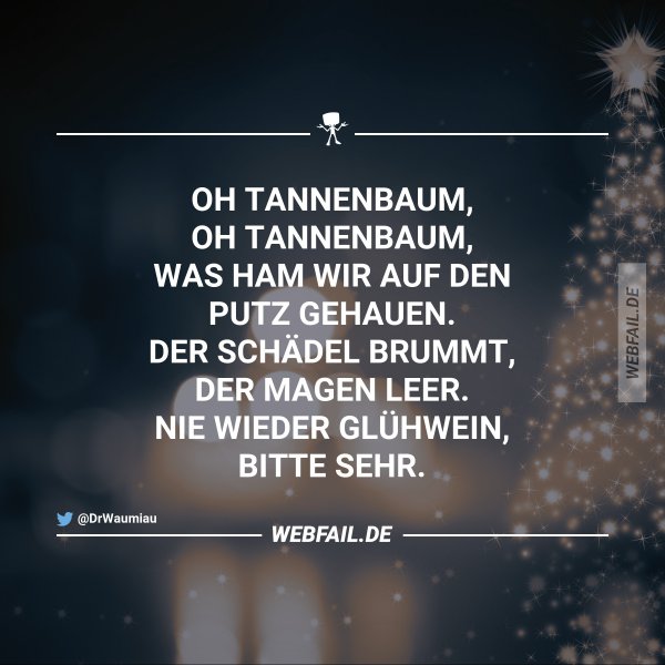 Es weihnachtet sehr | Webfail - Fail Bilder und Fail Videos