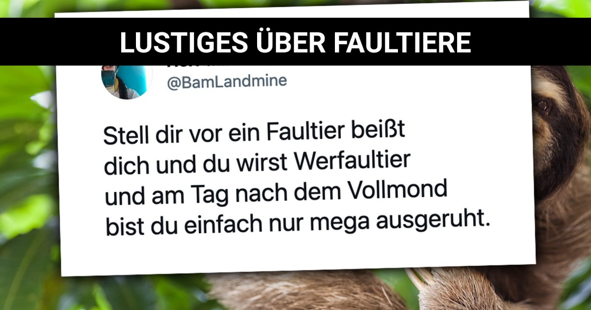 Sind einfach immer gechillt Lustiges über Faultiere Webfail Fail