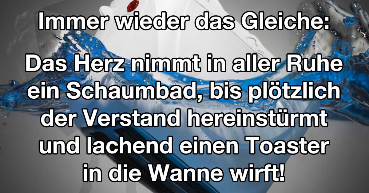 Die Spielverderber Der Spielverderber Die Spielverderber Der Spielverderber