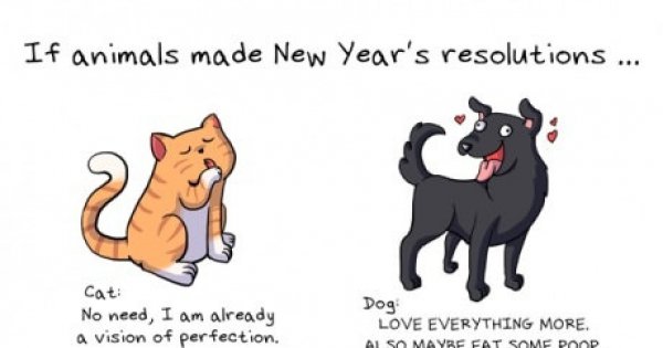 last 5 new year animals if animals made new year s resolutions win picture last 5 new year animals if animals made new year s resolutions win picture