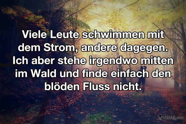 Viele Leute Schwimmen Mit Dem Strom Fun Bild Webfail Fail Bilder Und Fail Videos