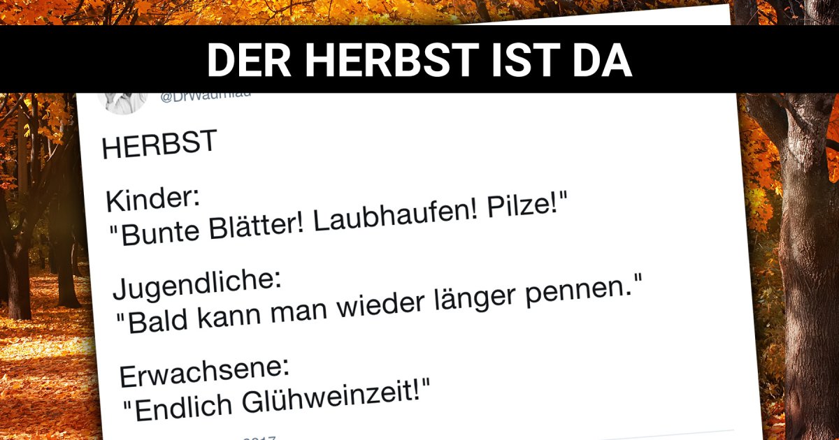 Der Herbst ist da Lustige Sprüche und Bilder zur schönen Jahreszeit