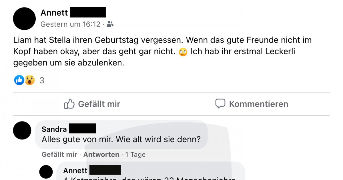 Der Vergessene Katzengeburtstag Facebook Fail Des Tages 17 09 2023