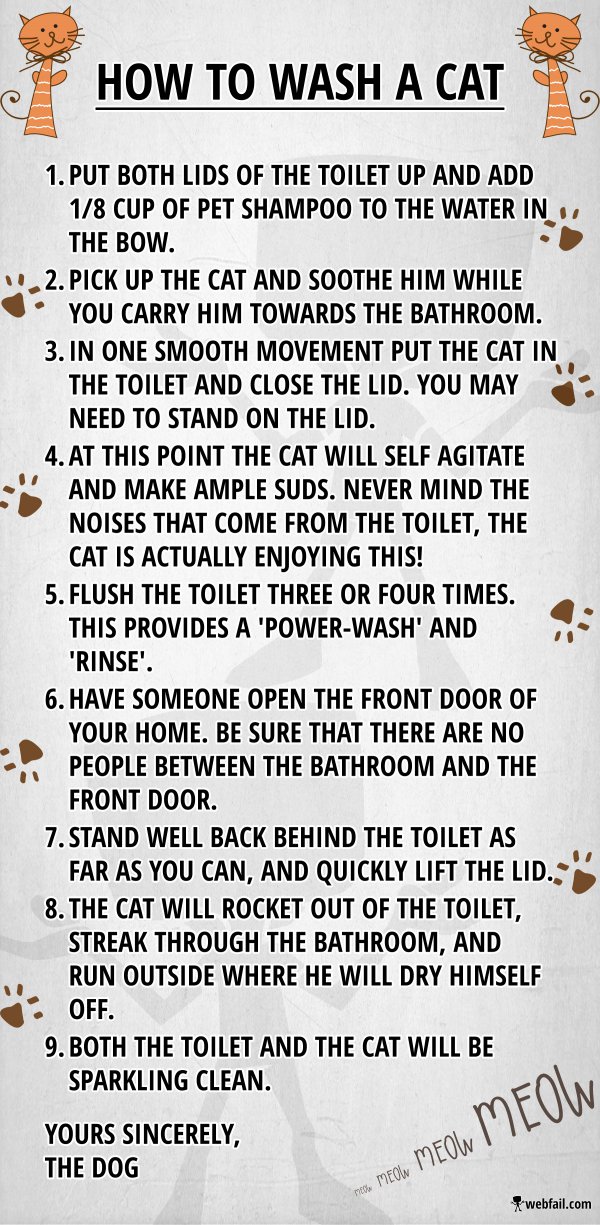 Washacat Fun Picture Webfail Fail Pictures and Fail Videos