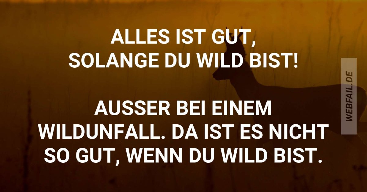 Alles Ist Gut Solange Du Wild Bist Webfail Fail Bilder Und Fail Videos