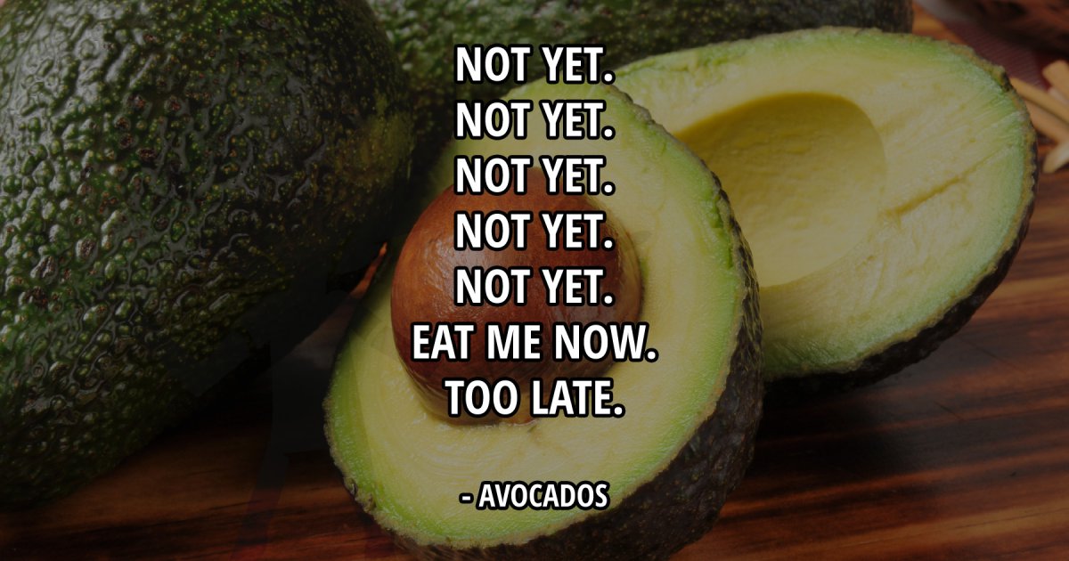 Avocados - Meme Picture | Webfail - Fail Pictures and Fail Videos