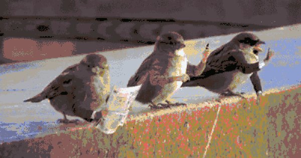 Vögel mit Armen. Warum auch nicht? - Fun Gif | Webfail - Fail Bilder