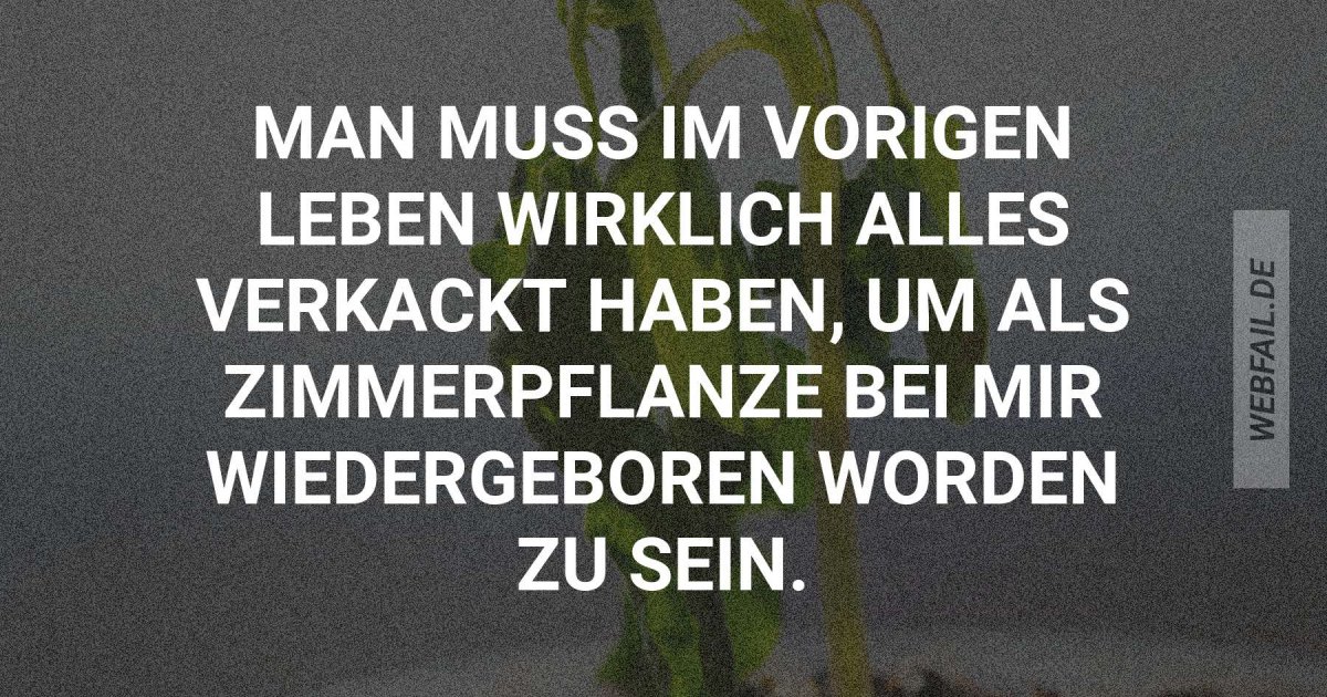 Keinen grünen Daumen Webfail Fail Bilder und Fail Videos