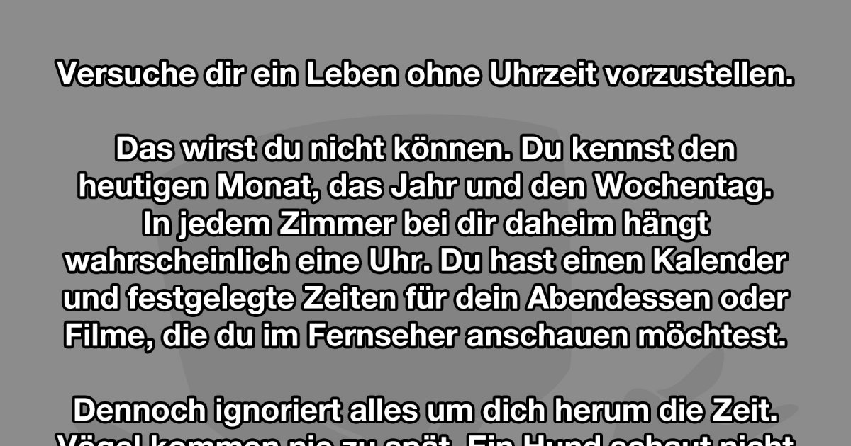 Die Zeit läuft davon Win Bild Webfail Fail Bilder und Fail Videos