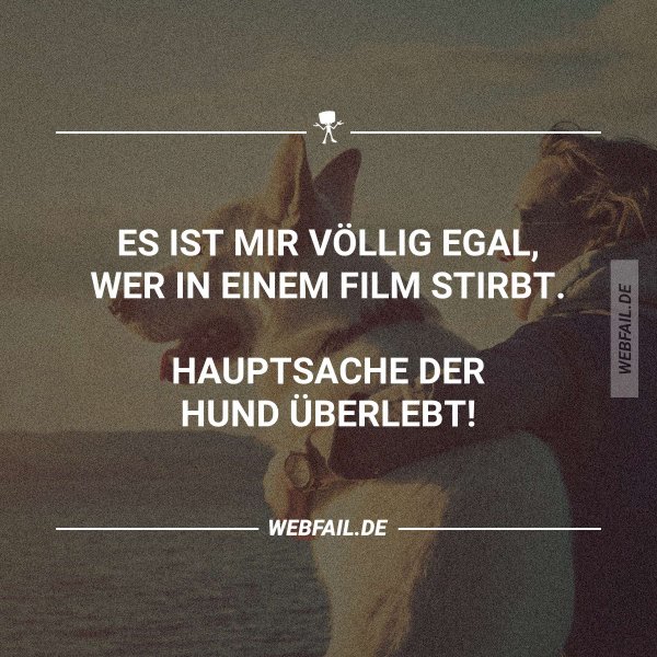 Geht Euch Doch Auch So Oder Webfail Fail Bilder Und Fail Videos 