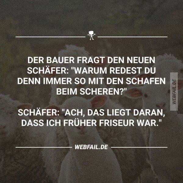 Neu orientiert Webfail Fail Bilder und Fail Videos