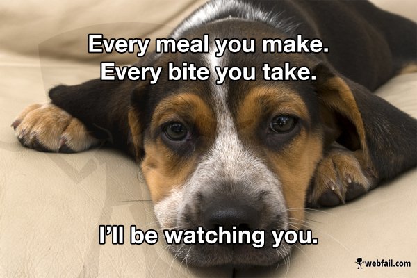 I'll be watching you - Meme Picture | Webfail - Fail Pictures and Fail ...