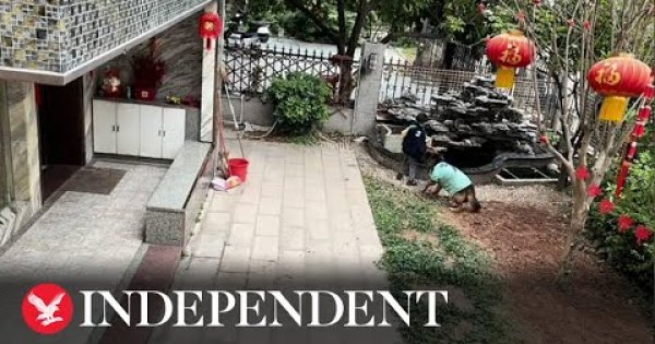 Hund hilft Kindern, deren Ball in einen Teich gefallen ist Webfail