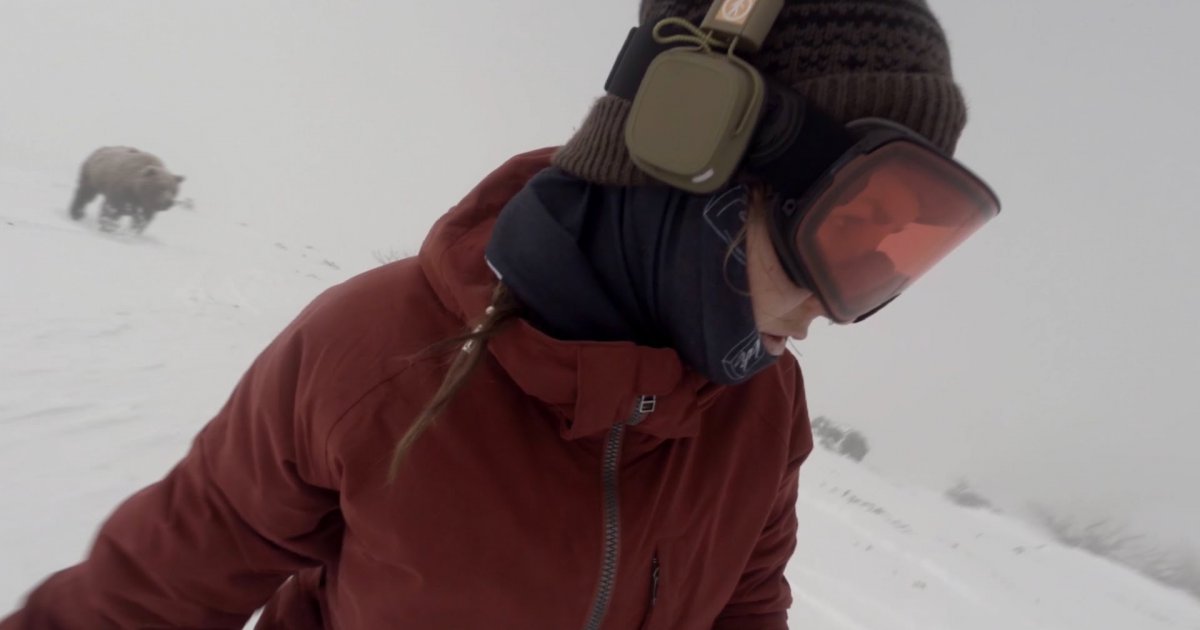 WTF Video Des Tages Snowboarderin Wird Von B r Verfolgt Und Merkt Es wtf-video-des-tages-snowboarderin-wird-von-b-r-verfolgt-und-merkt-es