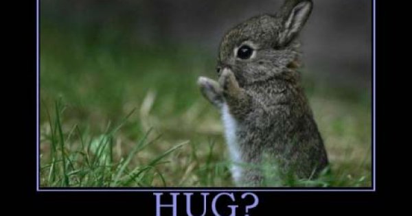Hug - Meme Picture | Webfail - Fail Pictures and Fail Videos