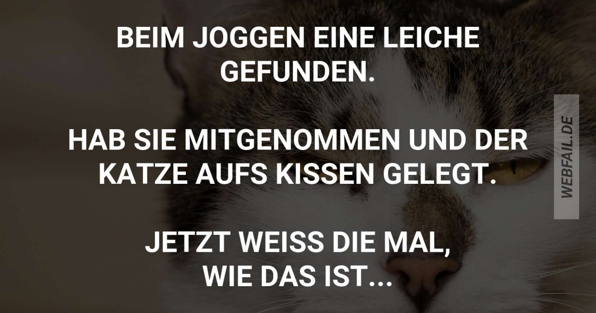 Gleiches mit Gleichem vergelten Webfail Fail Bilder und Fail Videos Gleiches mit Gleichem vergelten Webfail Fail Bilder und Fail Videos