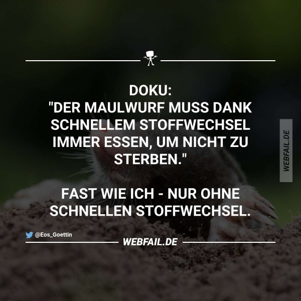 post2.jpg
