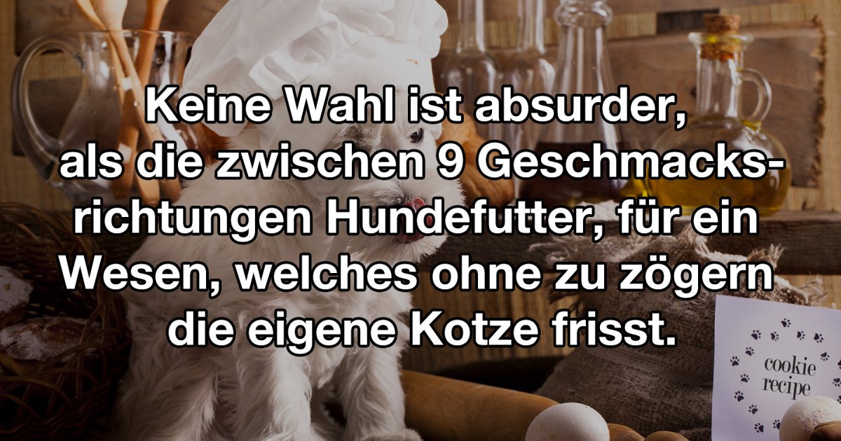 Alles für den Dackel, alles für den Club! - Fun Bild | Webfail - Fail ...