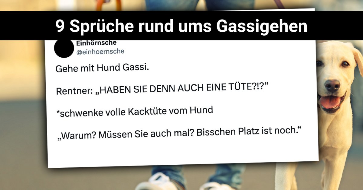 Lustige Sprüche rund ums GassiGehen Webfail Fail Bilder und Fail