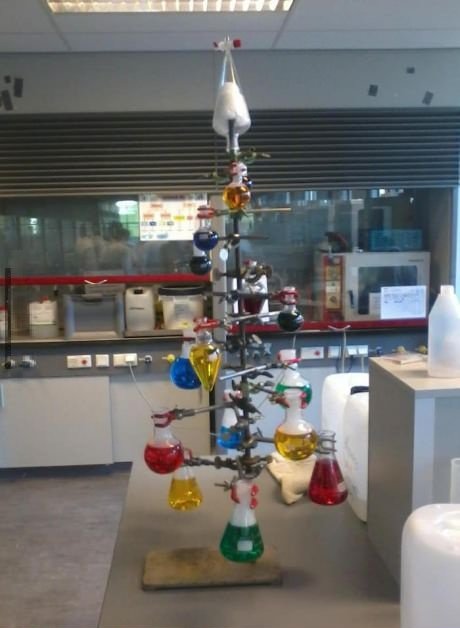Chemistree - Win Picture | Webfail - Fail Pictures and Fail Videos