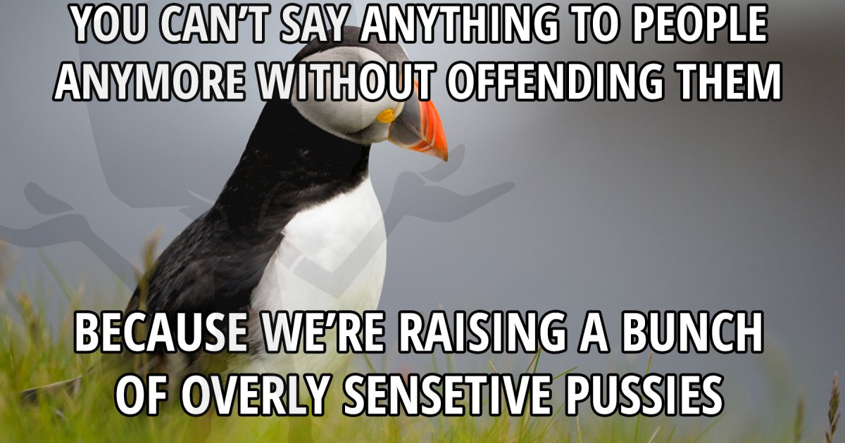 people-are-too-easily-offended-meme-picture-webfail-fail-pictures