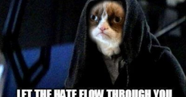 Darth Grumpy Cat - Win Picture | Webfail - Fail Pictures and Fail Videos