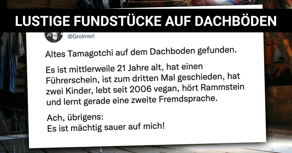 Humor auf Lager Lustige Fundstücke auf Dachböden Webfail Fail
