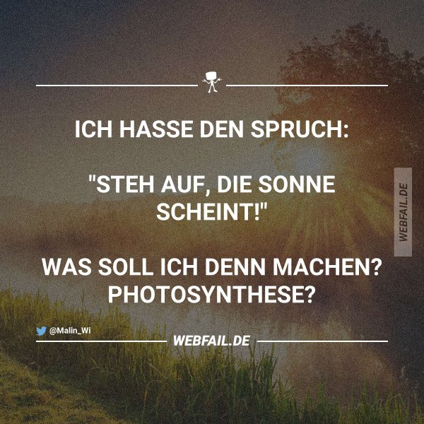 Was soll das denn? Webfail Fail Bilder und Fail Videos