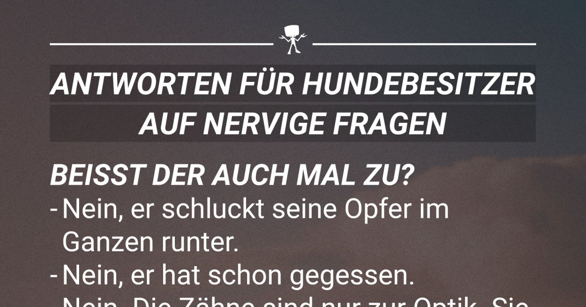 Antworten für Hundebesitzer auf nervige Fragen | Webfail - Fail Bilder
