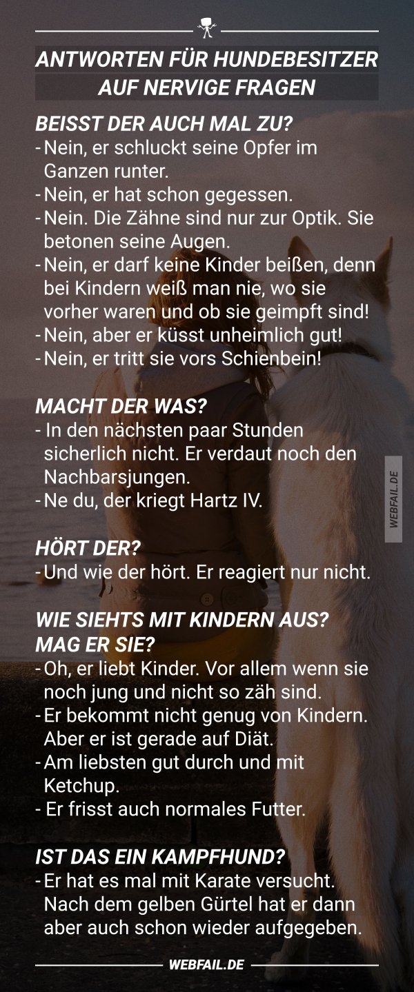 Antworten für Hundebesitzer auf nervige Fragen | Webfail - Fail Bilder