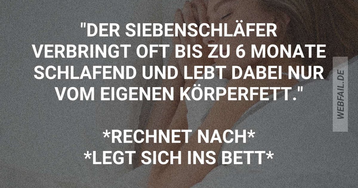 Das klingt doch nach einem Plan! Webfail Fail Bilder und Fail Videos