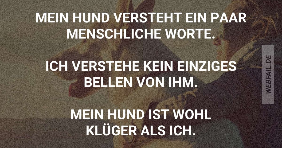 Der macht mich fertig Webfail Fail Bilder und Fail Videos