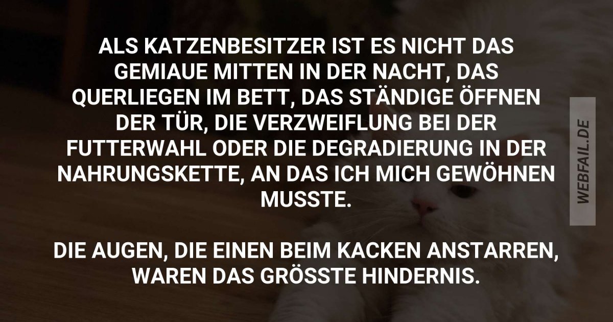 Das ist wirklich der Knackpunkt Webfail Fail Bilder und Fail Videos