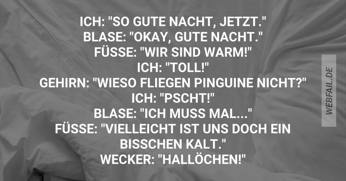 Ich will doch nur schlafen! Webfail Fail Bilder und Fail Videos