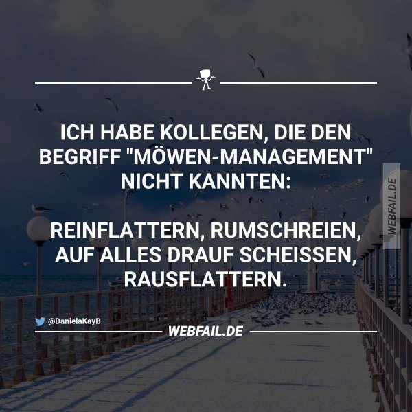 Dieses Management Webfail Fail Bilder und Fail Videos