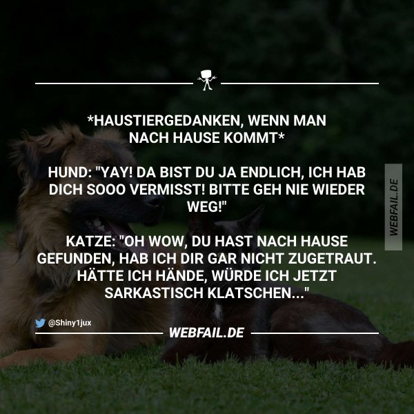 Lustige Bilder Webfail Fail Bilder und Fail Videos